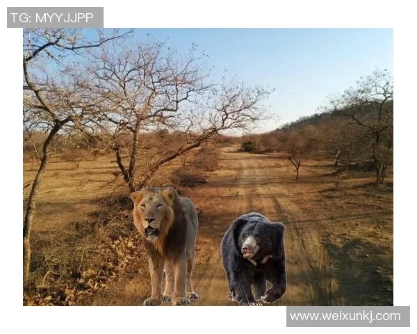东孟加拉与图里激战正酣谁将赢得这场精彩对决的胜利 东孟加拉与图里激战正酣谁将赢得这场精彩对决的胜利