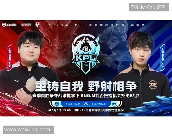 王者荣耀个人能力排行榜揭晓RNG排名第八引发热议